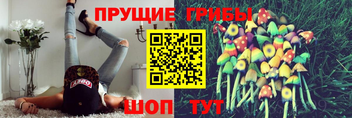Галлюциногенные грибы GOLDEN TEACHER  что такое   Сургут  Галлюциногенные грибы Psilocybe  Вход с VPN 