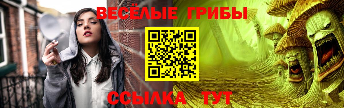 Псилоцибиновые грибы Cubensis Сургут