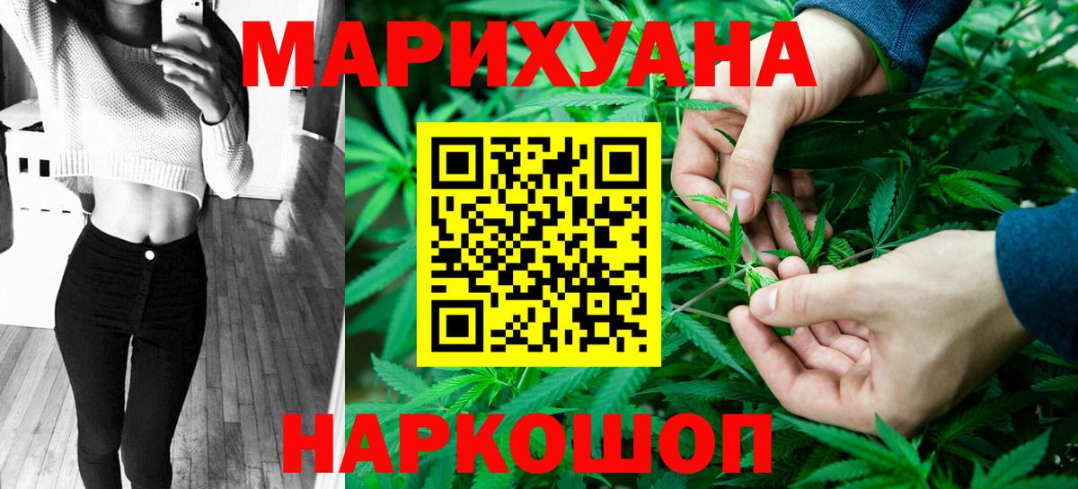 Каннабис индика  Каннабис гибрид  Бошки марихуана планчик  Вход с VPN  Конопля марихуана  Сургут 
